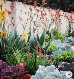 Hydrangea Aesthetic, Hillside Pool, Vintage Decorating Ideas, Greens Garden, Garden Fairy Costume, Desert Backyard, Garden River, Pool Bed, Succulent Garden Landscape