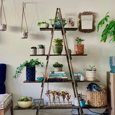 a shelf with potted plants on it in a living room next to a couch