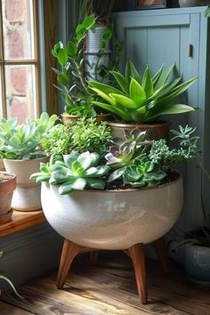 several potted plants sitting on top of a window sill