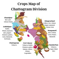 the crop map of chatogam division, with different crops and their names on it