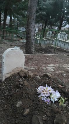 a grave in the ground with flowers growing out of it's base and trees behind it