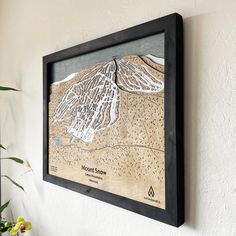 a framed map hanging on the wall above a potted plant and vase with flowers