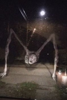 a creepy looking spider hanging upside down in the air with it's legs spread out