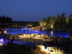 an outdoor swimming pool lit up at night with lights on the rocks and plants around it