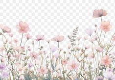 pink and white flowers on a transparent background