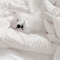 a white cat laying on top of a bed covered in blankets and pillows with its eyes closed