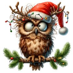 an owl wearing a santa hat sitting on a branch with christmas lights around its eyes