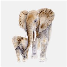 an elephant and her baby are shown in this watercolor painting by artist mark taylor