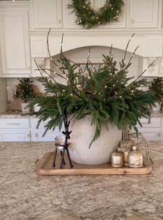 a large potted plant sitting on top of a counter next to candles and christmas decorations