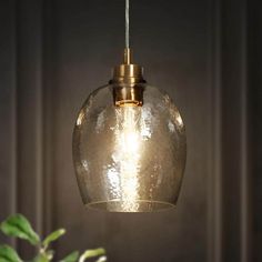 a clear glass light hanging from a ceiling fixture over a table with a potted plant in the background