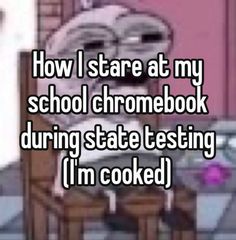 someone is saying how i stare at my school chromebook during state testing i'm cooked