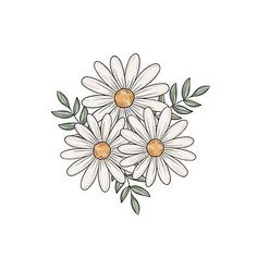 three white daisies with green leaves on a white background