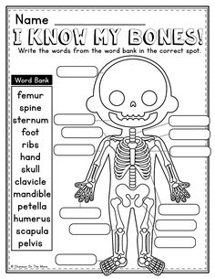 a skeleton worksheet with the words i know my bones