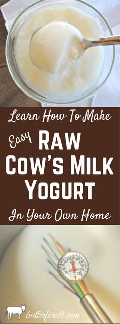 raw cow's milk yogurt in a glass bowl with a spoon on the side