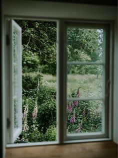 an open window with flowers in the foreground and green trees in the back ground