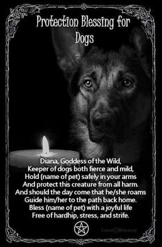 Dog Familiar, Wiccan Knowledge, Hedge Witchery, Protection Blessing, Spiritual Ideas, Witch Spells, Witchy Women, Witch Things, Witchcraft Spells For Beginners