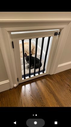 a dog is looking through the gate to get into the house with his head stuck in the door