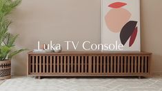 a wooden entertainment center sitting on top of a rug next to a potted plant