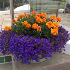 a potted planter filled with purple and orange flowers