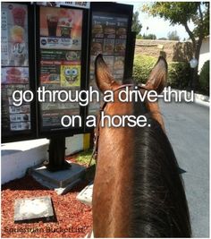 there is a horse that is looking at the menus on the side of the road