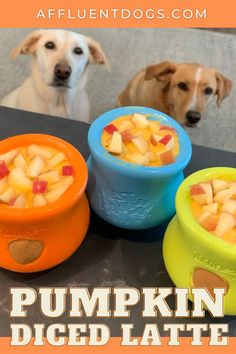 Two Labradors looking over a new recipe for West Paw Toppl Dog Lick Bowls, Frozen Lick Bowl For Dogs, Lick Mat Recipes Dog Frozen, Toppl Dog Recipes, Paw Pumpkin, Boarding Facility, Pet Treats Recipes