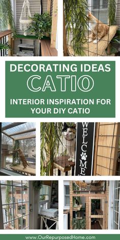 pics of catios Catio Ideas Cat, Diy Cat Wall Ideas, Cat Ideas For Home, Cattery Ideas, Cat Daycare, Pet Rooms, Kitten Nursery, Cat Rooms, Cat Breeding