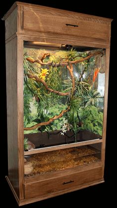 an aquarium filled with lots of plants and birds in it's display case on a black background