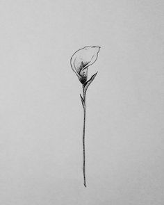 a black and white photo of a single flower