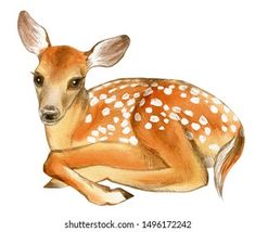 a watercolor painting of a deer laying down