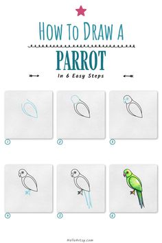 Step by step images demonstrating a how to draw a parrot - A Drawing Tutorial for Beginners! Parrot Drawing Tutorial, Parrot Simple Drawing, How To Draw A Parrot Easy, Parrot Drawing Easy Step By Step, Easy Parrot Drawing For Kids, How To Draw A Parrot Step By Step, How To Draw A Parrot, How To Draw A Bird Easy, Parrot Drawing Simple