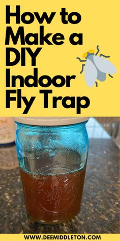 how to make a diy indoor fly trap in a jar with text overlay