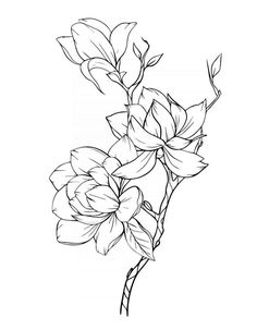 a black and white drawing of flowers