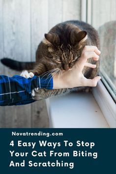 a cat sitting on top of a window sill next to a person's hand