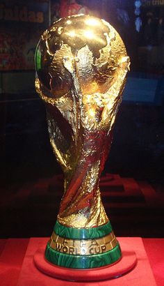 the golden trophy is on display for everyone to see