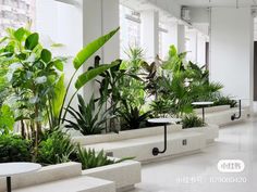 an office building with plants and tables in the middle of the room, all lined up against the wall