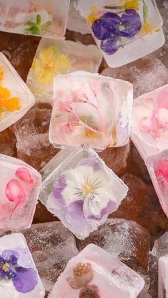 several ice cubes with flowers on them