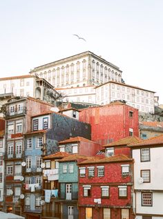 the buildings are painted red, white and blue with birds flying over them in the background