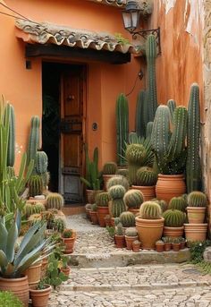 many cacti are growing in pots on the side of an orange building with a door