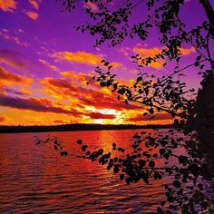 the sun is setting over the water and trees are silhouetted against the purple sky