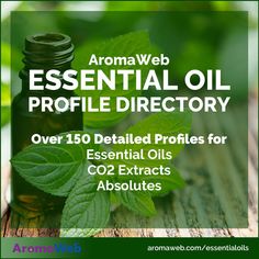 150 Essential Oils: Essential Oil Uses and Benefits | AromaWeb Essential Oil List, Essential Oils Properties, Essential Oil For Men, Essential Oil Books, Oils Essential, Diluting Essential Oils, Essential Oil Extraction, List Of Essential Oils, Essential Oil Safety