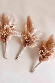 three dried flowers and feathers are arranged on a white surface with the stems still attached