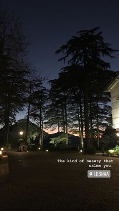 the night sky is lit up with lights in front of some trees and a building