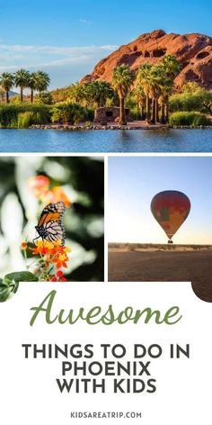 Phoenix With Kids, Phoenix Travel, Usa Road Trip Ideas, North America Travel Destinations, Travel Kids, Travel America, Vacay Vibes