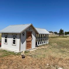 a small white shed sitting in the middle of a dry grass field with a cow standing next to it