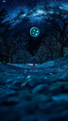 a person standing in the middle of a forest under a night sky filled with stars