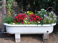 a bathtub filled with lots of flowers sitting on top of a dirt ground next to a tree