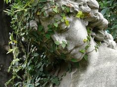 a stone statue with ivy growing on it's face and head surrounded by greenery