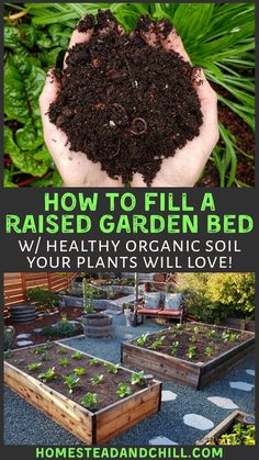 how to fill a raised garden bed / healthy organic soil for your plants will love