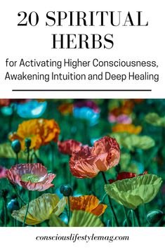 Spiritual Herbs, Herbs And Plants, Deep Healing, Natural Antibiotics, Herbal Healing, Herbal Magic, Herbs For Health, Higher Consciousness, Healing Herbs