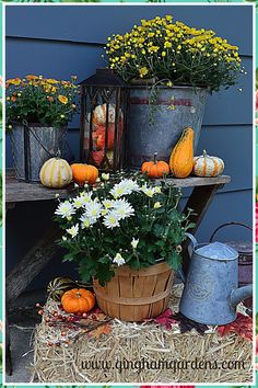 Fall Gardening Tools - Who doesn't enjoy getting an awesome offer from leading brands. Click to find out more NOW! Simple Fall Porch Decor, Fall Container Plants, Traditional Fall Decor, Decorating Your Front Porch, Garden Vignettes, Porch Decor Farmhouse, Fall Garden Decor, Gate Decoration